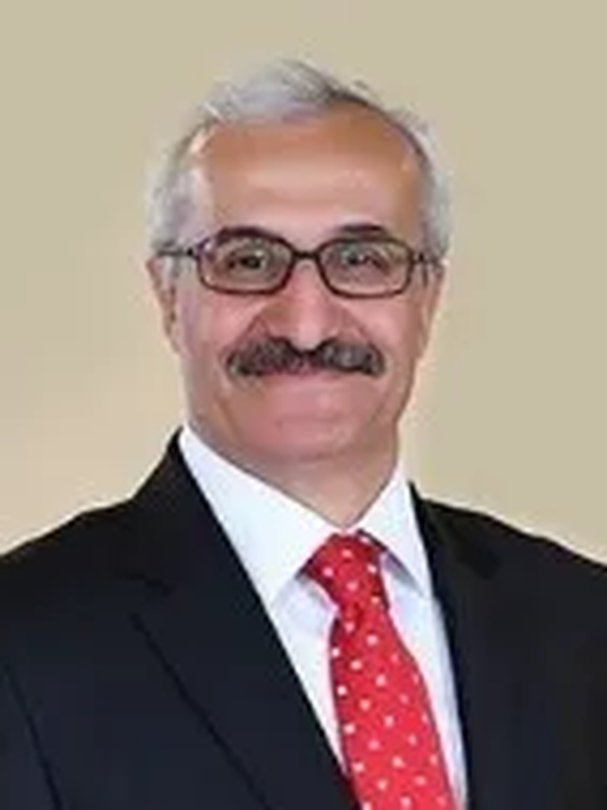 Mehmet Ali Özyiğit