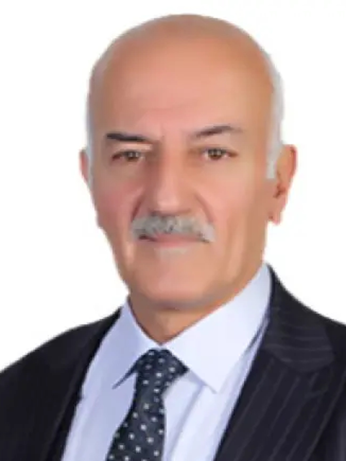 Muhammet Halis Özsoy