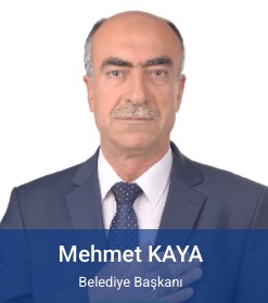Mehmet Kaya