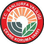 ŞURÇEV