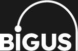 Information Security and Cyber Resilience Compliance Association (BİGUS)