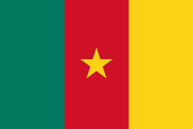 Embassy of the Republic of Cameroon in Türkiye