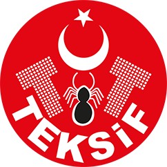 Teksif (Türkiye Tekstil, Örme, Giyim ve Deri Sanayii İşçileri Sendikası)